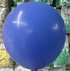 Kalisan Standard Periwinkle