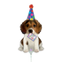 Betallic 14" Birthday Puppy