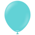 Kalisan Standard Aqua