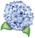 Betallic 32" Hydrangea