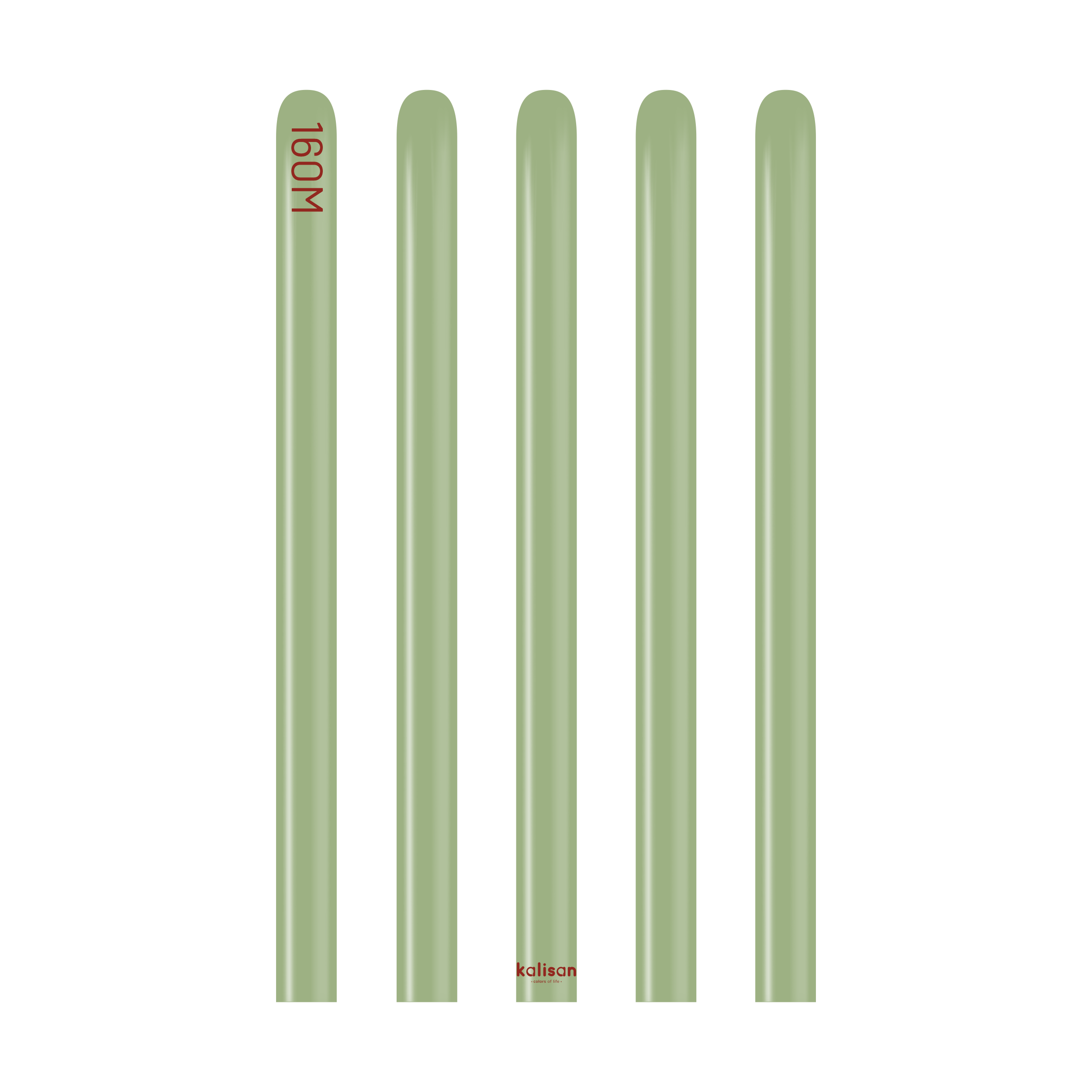 Kalisan 160M Retro Eucalyptus (Nozzle Up)