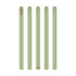Kalisan 160M Retro Eucalyptus (Nozzle Up)
