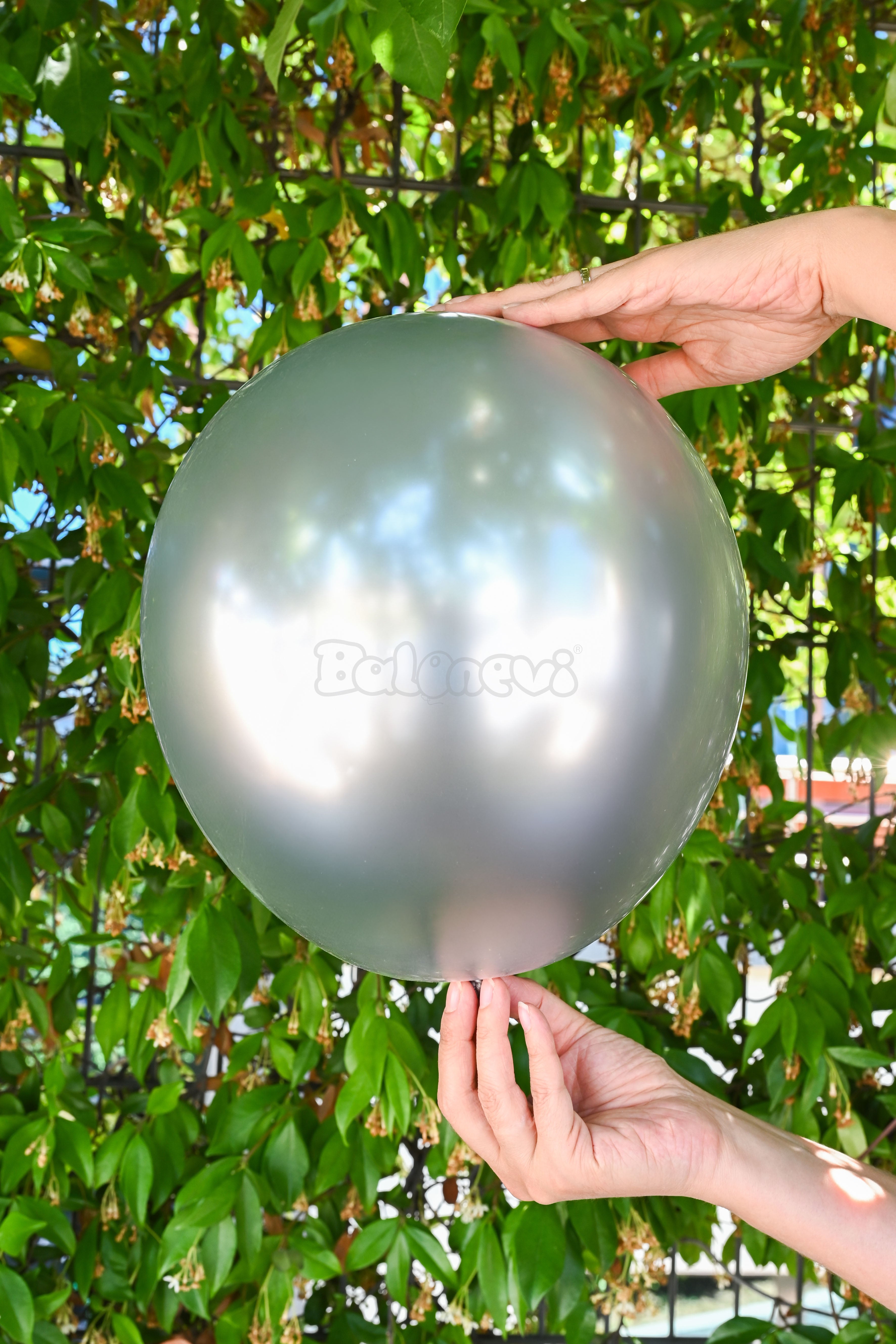 Balonevi Krom Silver