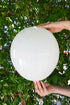 Balonevi Pastel (Standard) White