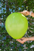 Balonevi Pastel (Standard) Light Green