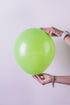 Balonevi Pastel (Standard) Light Green