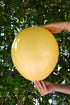 Balonevi Pastel (Standard) Sunflower