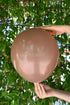 Balonevi Pastel (Standard) Brown