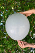 Balonevi Pastel (Standard) Gray