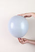 Balonevi Pastel (Standard) Gray