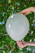 Balonevi Pastel (Standard) Stone Green