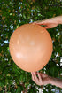 Balonevi Pastel (Standard) Caramel