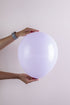 Balonevi Pastel Macaron Lilac