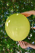 Balonevi Pastel (Standard) Olive Green