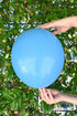 Balonevi Pastel (Standard) Ocean Blue