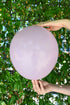 Balonevi Pastel (Standard) Canyon Rose