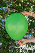 Balonevi Pastel (Standard) Herbal Green