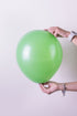 Balonevi Pastel (Standard) Herbal Green