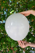 Balonevi Pastel (Standard) Moonstone