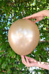Balonevi Rustic Sunset