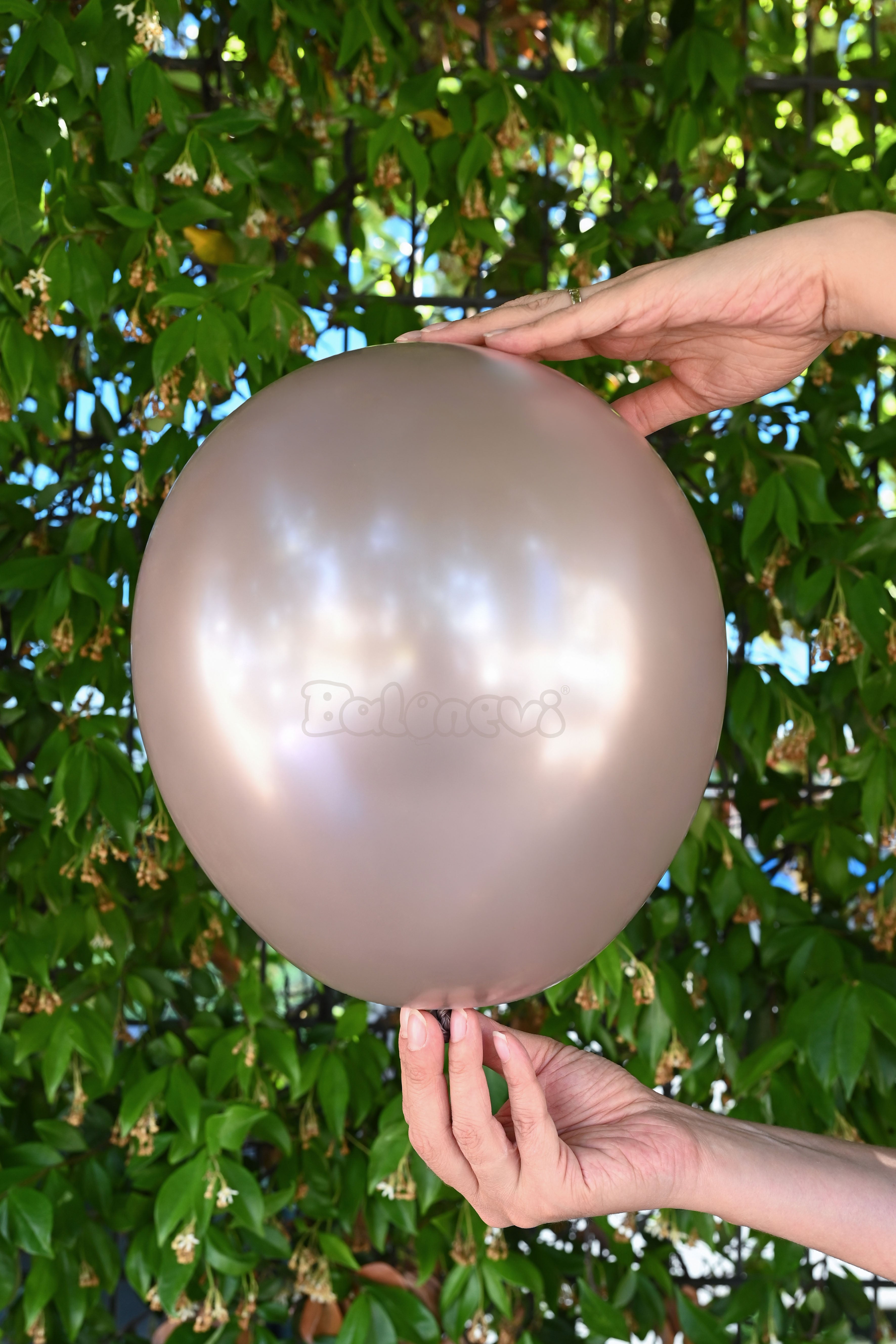 Balonevi Rustic Seed