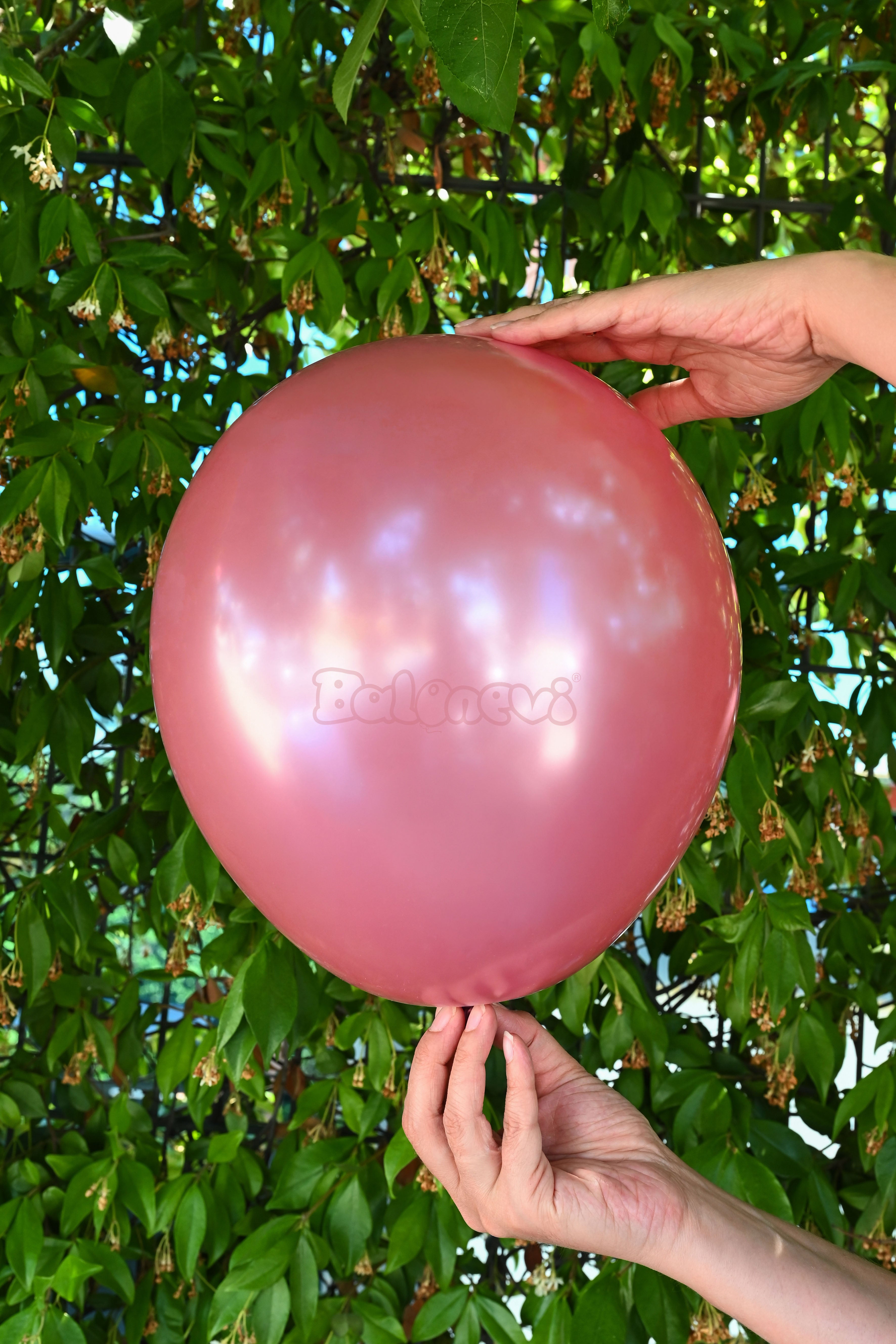 Balonevi Rustic Rosebud