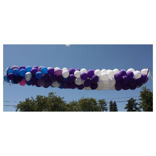 Silver Rainbow Boss 250™ - Balloon Drop Net - Low Ceiling - 30ft x 2ft