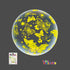 18" CLEAR BUBBLE BALLOON - BUTTERFLY - GOLD