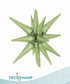 Decochamp 22" Olive Green Starburst