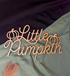Little Pumpkin Wooden Sign (Local Pick-up Only)