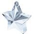 Metallic Star Balloon Weight-Silver