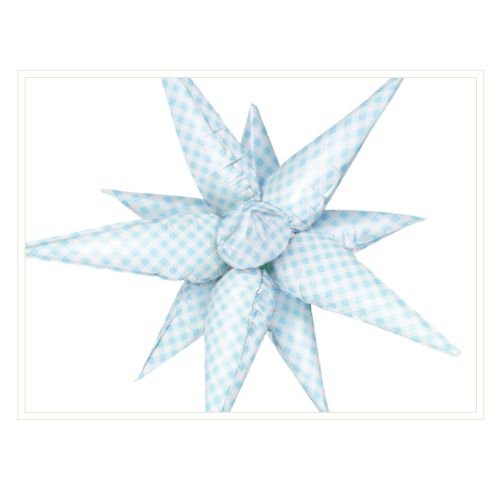 Burst Party Co. 40" Blue Gingham Starburst