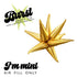 Burst Party Co. 12" Gold Mini Starburst